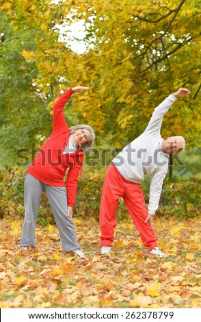 Happy fit senior couple exercising in autumn park
