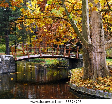 Wooden Bridge At The Park In Autumn Stock Photo 35596903 : Shutterstock