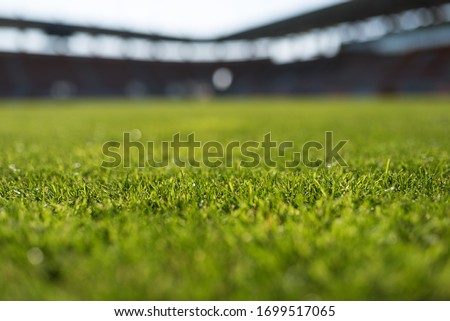 Grass at football stadium during sunny day Сток-фото © 