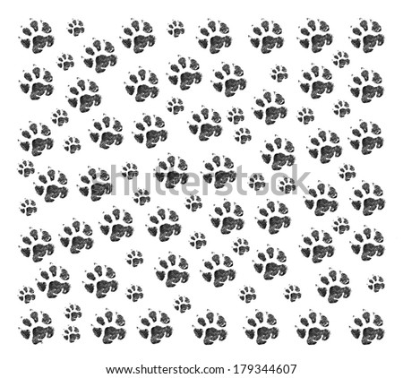 Animal footprint background