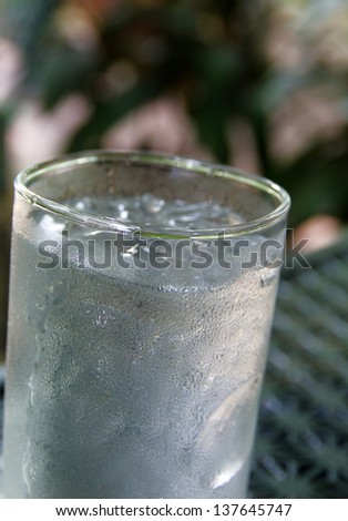 a plain glass of water with ice