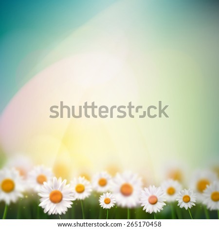 Natural summer background with camomiles, eps 10