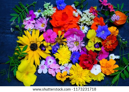 Floral background with various garden flowers , top view