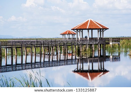 wood pavilion and wood bridge in swamp
