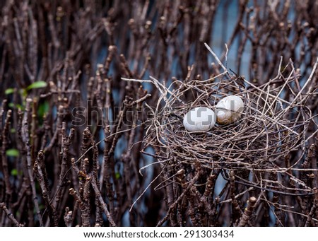 Bird egg in net