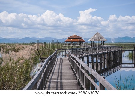 Wood bridge and pavilion in swamp