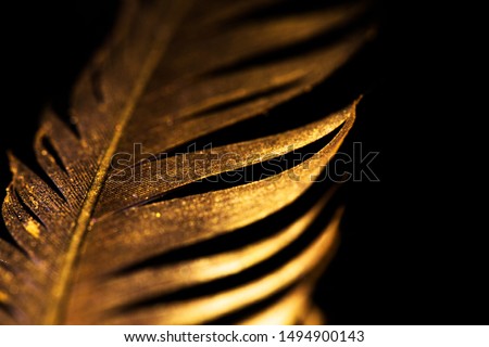 The feather is covered with gold paint close-up. Pen for calligraphy. Golden feather.