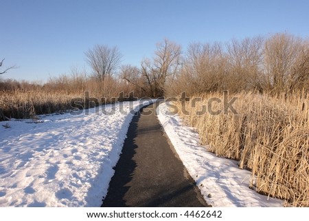 A picture of a cold winter trail through field of tall brown grass