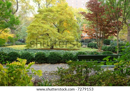 A picture of a beautiful autumn scene in the park