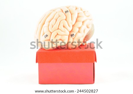 brain, thinking out of box