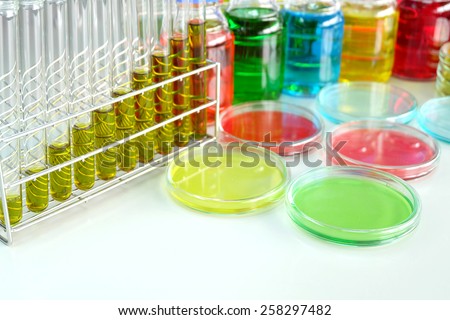 Colorful fluid in petridish and test tube for laboratory use on table laboratory