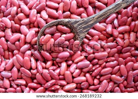 kidney bean in wooden spoon with kidney red background