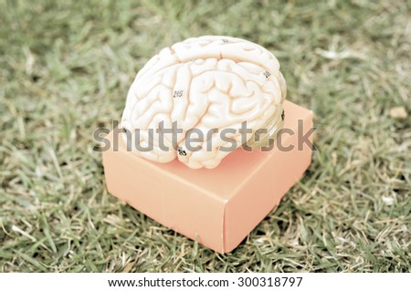 human brain model with vintage concept