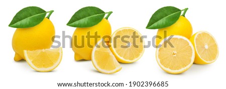 Lemon collection. Lemon citrus isolated on a white background. Organic lemon macro studio photo. Full depth of field