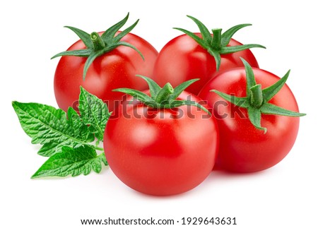 Ripe tomato with leaves clipping path. Organic fresh tomato isolated on white. Image stack full depth of field macro shot