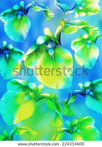 Bright color background with blue and green flowers