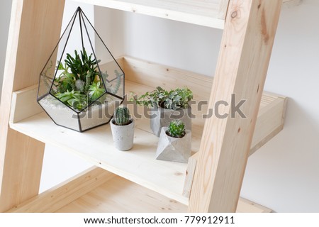 Similar – Image, Stock Photo Mini cactus in white ceramic pot