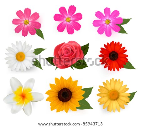 Colorful Flowers Seamless Damask Pattern Vector | 123Freevectors