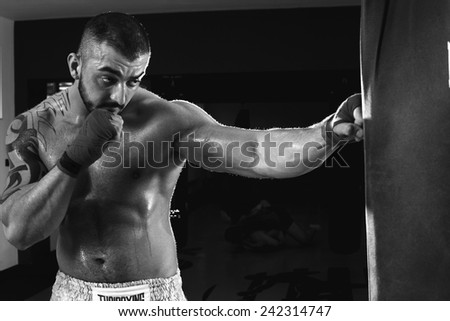 Sportsman kick boxer intense portrait against grey background. Young Boxer fighter .