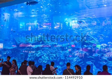 DUBAI, UAE - OCTOBER 1: Aquarium in Dubai Mall - world\'s largest shopping mall based on total area and sixth largest by gross leasable area, October 1, 2012 in Dubai, United Arab Emirates.