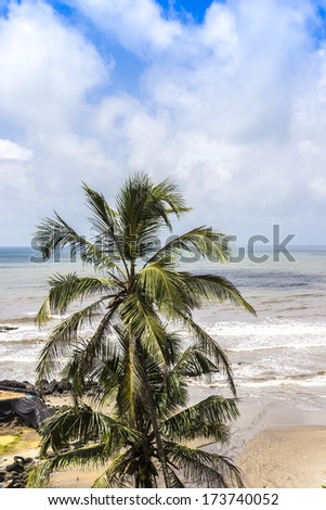 Beautiful tropical nature of Vagator Beach: palms, perfectly clear Arabian sea, golden sea beach, blue sky - one of busiest places and tourist attraction places of rest. Vagator Beach, Goa, India.
