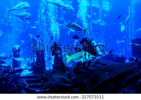 DUBAI, UAE - SEPTEMBER 7, 2015: A wide variety of fishes (more than 500 species fishes, sharks, corals and shellfish) in a huge aquarium in 5 stars Hotel Atlantis on man-made island of Palm Jumeirah.