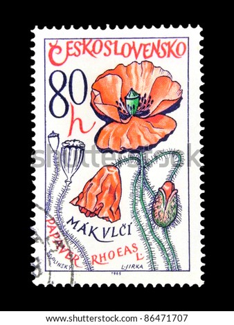 CZECHOSLOVAKIA - CIRCA 1965: A stamp printed in Czechoslovakia shows Medicinal plant with the inscription 