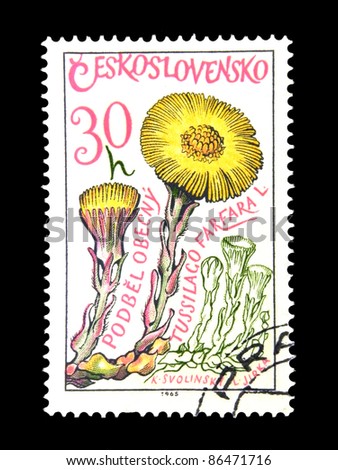 CZECHOSLOVAKIA - CIRCA 1965: A stamp printed in Czechoslovakia shows Medicinal plant with the inscription \