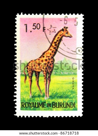 BURUNDI - CIRCA 1964: stamp printed in Kingdom of Burundi shows an African animal - Giraffe with the inscription 