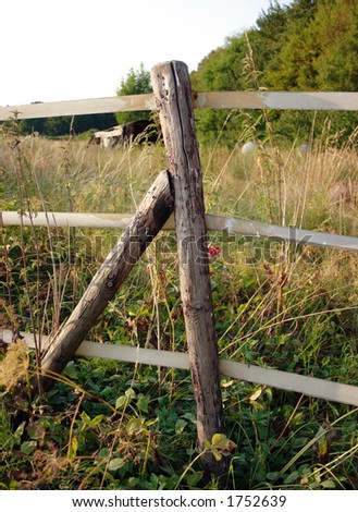 Log Fence Post