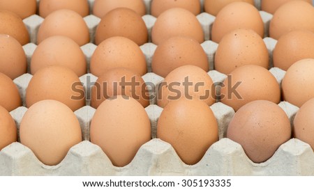 Eggs, Chicken Egg