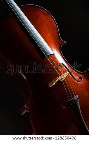 Violin in dark room  - music concept