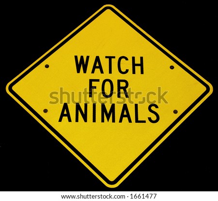 reflective watch for animals sign at night