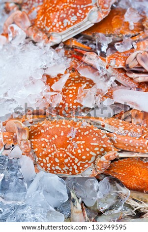 Crabs in an ice tray in fish matket