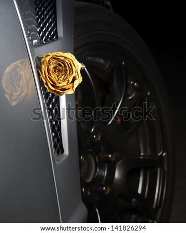 beautiful dry white rose on side diffuser sport car, underground feeling