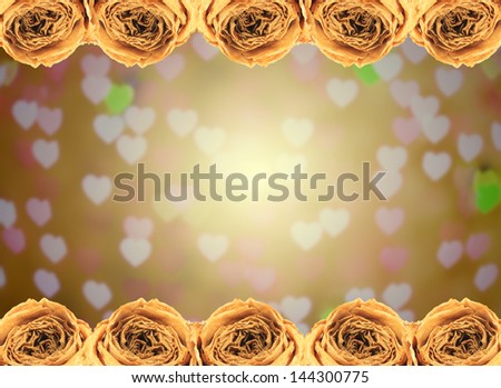 beautiful dry white rose frame on blur heart bokeh background