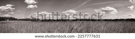 Foto Bild Brandenburgische Steppe