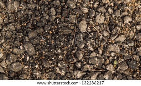 Soil texture as a background