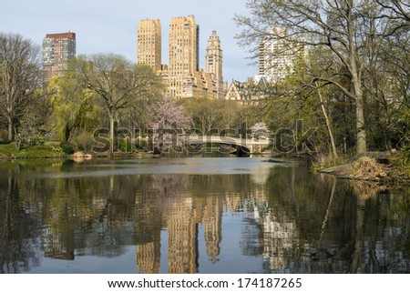 Central Park, New York City early morning in spring at the Bow bridge