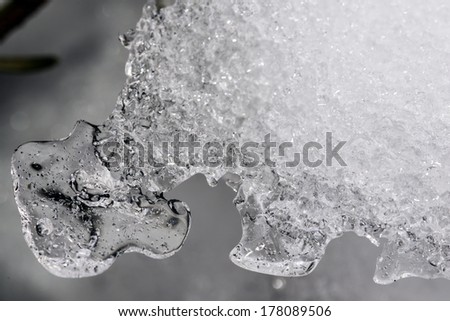 ice designs in nature during winter
