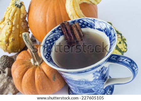 Pumpkin spice autumn drink with cinnamon