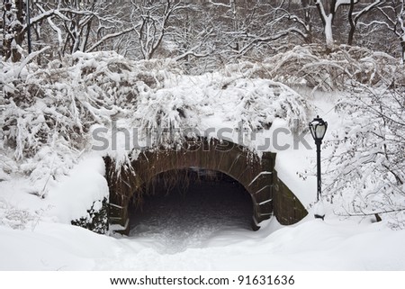 After a large snow storm early in the morning in Central Park, Trefoil arch
