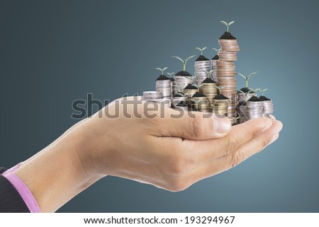Human hand cover small growing money plant for investment in the future