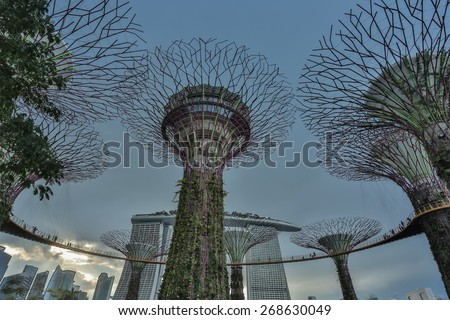 MARINA BAY ,SINGAPORE, MARCH 16, 2015: Big Tree light show night time for people watch the show in Garden By The Bay,Singapore