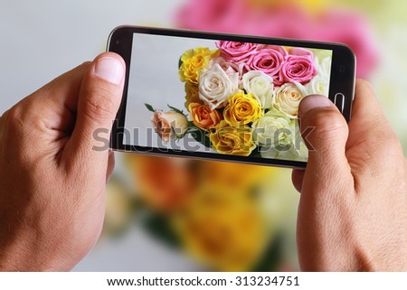 Male hand taking photo of colorful roses with cell, mobile phone.