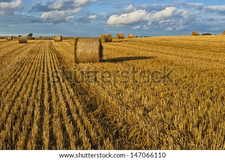 Harvest Time - Bales of straw on a stubble field - the harvest is done.