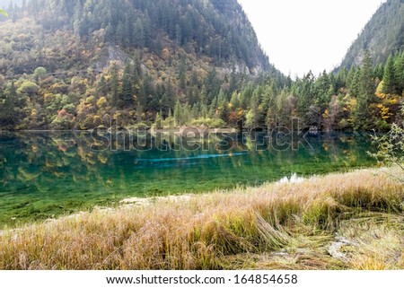SICHUAN, REPUBLIC OF CHINA - OCTOBER 23: Visitors enjoy themselves with the autumn beauty of Multicolor Lake at Jiuzhaigou on October 23, 20013, China.