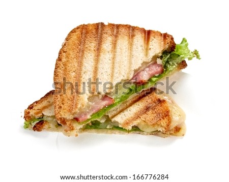 Two pieces of toasted sandwich
