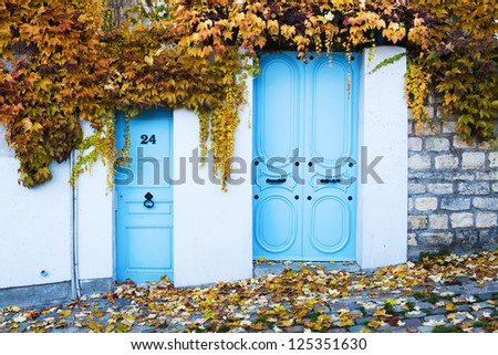 old doors in Paris framed from autumn vine tendrils