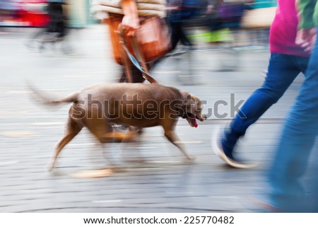 person walking the dog in the city in motion blur